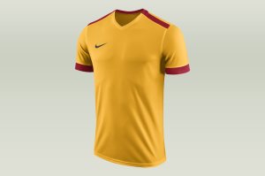 Koszulka Nike Park Derby II Junior (894116-739)
