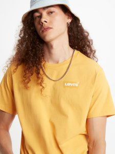 Levi's Housework Graphic Tee Hm Emb Golden Apricot