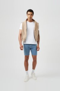 Men's Blue Stripe Denim Shorts - mid blue - S