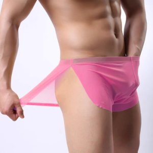 Funny Underwear Men Boxer shorts Transparent Net Mesh boxers Underwear Bulge Underpants low Waist boxers Sexy Lingerie Gift