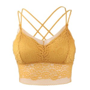 Women Lace Wrapped Chest Padded Bra Beauty Back Cozy  Tube Top Female Embroidered Lace Bras Underwear