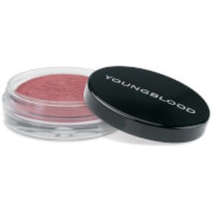 Youngblood Crushed Mineral Blush 3g (Various Shades) - Plumberry