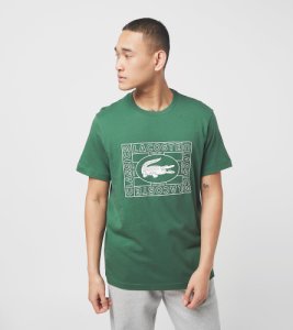 Lacoste T-Shirt Outline, verde