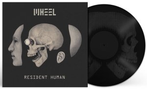 Wheel Resident human LP multicolor