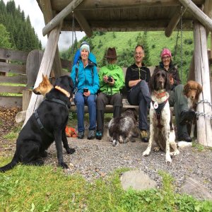 Alpenüberquerung mit Hund von Bayern nach Südtirol