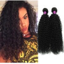 Brazilian Curly Virgin Hair 3pcs Brazilian Curly Remy Hair Virgin Brazilian Curly Hair Bundle Deals Natural Black