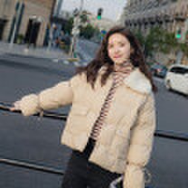Winter 2018 new south Korean style rabbit fur lapel down jacket students coat thickened short style cotton-padded jacket