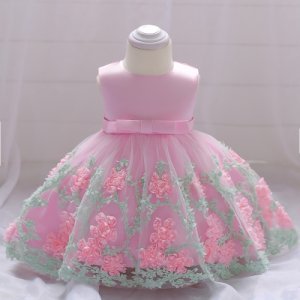 Baby Gir's 3D Floral Applique Sleeveless Tulle Party Dress