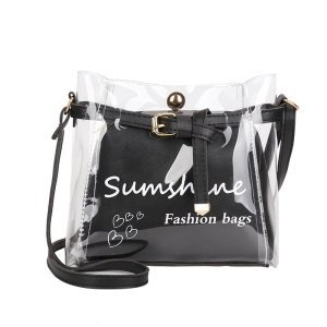 Shein - Clear bag with inner pouch