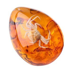 Productspro - Mode natuurlijke insecten amber edelsteen ornament originaliteit schorpioenen vlinder bee krab decoraties diy ambachten gift - scorpion