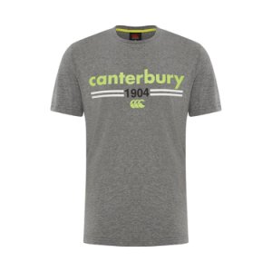 MENS 1904 TEE size: S - Colour: GREY