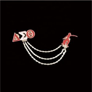 DST Greek Sorority  accessories women  Delta Sigma Theta   Fortitude enamel Brooch Lapel Pins set Jewelry