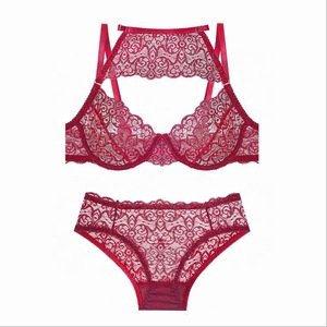 Lace Underwear Sets Ladies Sexy Lace ultra thin Bra and Brief Sets Women Transparent Bra and Panties set