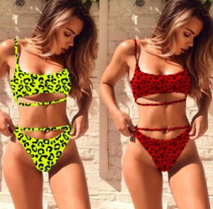 New Arrival 2019  Swimwear Sexy Multicolor  Leopard Bikini