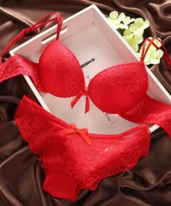 Wish hot selling women lace bra brief set push up bra panty set wholesale ladies underwear set