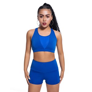 2019 new design factory price yoga set fitness workout sports set gym yoga bra and pants for women