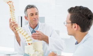 Chiropractic Exam and One or Two Treatments at N8 Health
