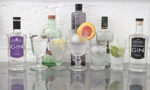 Gin Tasting Experience for One or Two with Brennen and Brown Distillery