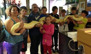 Reptile Birthday Party for Seven Kids at Crocs R Us