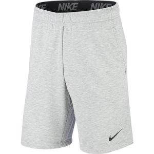 Nike Dri-FIT Short Fleece (CJ4332-063)