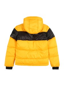 Raizzed Winter jacket 'Tacoma'  yellow / black