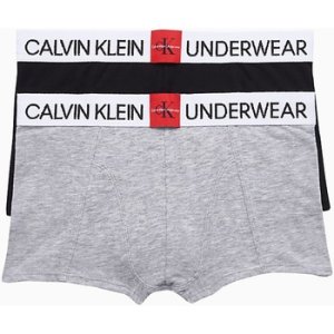 Calvin Klein Jeans  B70B700241 2 PACK TRUNK  boys's Boxer shorts in Multicolour