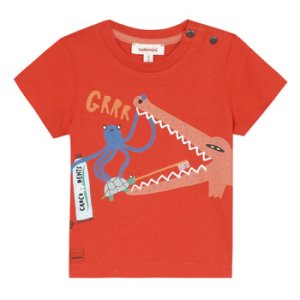 Catimini  BARQUER  boys's Children's T shirt in Red