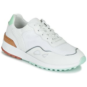 Claé  HAYDEN  women's Shoes (Trainers) in White