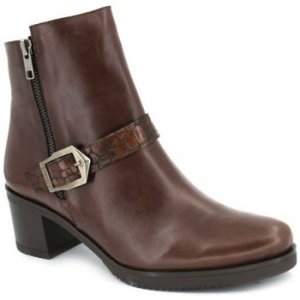 Dansi  4102  women's Low Ankle Boots in Brown