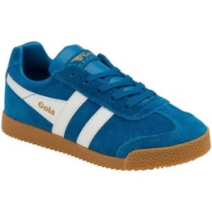 Gola  Harrier Kids Trainers  boys's Children's Shoes (Trainers) in Blue