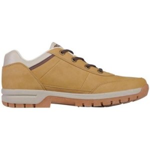 Kappa  Bright Low Light  men's Shoes (Trainers) in multicolour