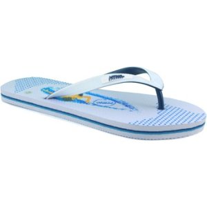 MTNG  MUSTANG MAN Poolshoes  men's Flip flops / Sandals (Shoes) in White