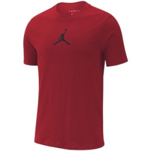 Nike  Jordan Jumpman Dfct  men's T shirt in multicolour
