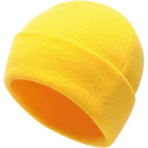 Professional  Axton Cuffed Beanie Yellow  men's Hat in Yellow