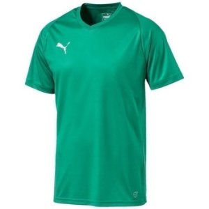 Puma  Liga Jersey Core  men's T shirt in Green