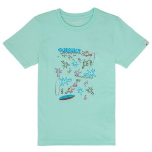 Quiksilver  FIZZLE ROCKS  boys's Children's T shirt in Blue