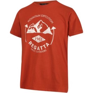 Regatta  Cline IV Graphic T-Shirt Orange  men's  in Orange