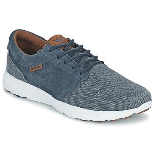 Supra  HAMMER RUN NS  men's Shoes (Trainers) in Blue