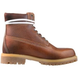 Timberland  Premium 6  men's Shoes (High-top Trainers) in Brown