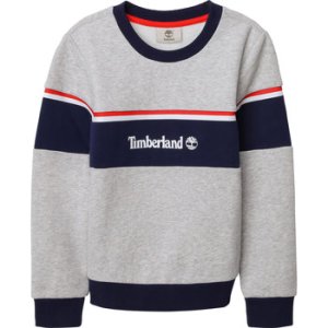 Timberland  T25R38  boys's Children's sweatshirt in Grey. Sizes available:14 years,16 years