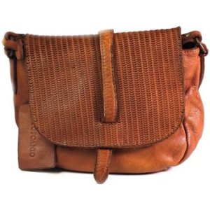 Toscanio  B87  women's Handbags in Brown