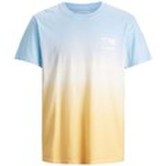 T-shirty i Koszulki polo Jack & Jones  12188967 ALOOHA-ANGEL FALLS
