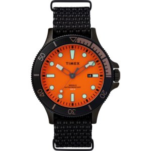 Timex Watch TW0T30200