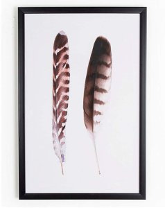 Graham & Brown Duo of Feathers Canvas