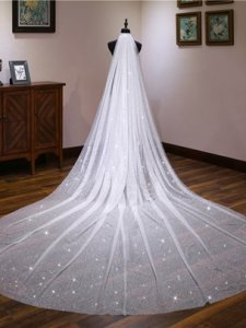 Sequins Tulle Wedding Veil 2019