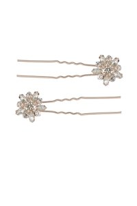 Set of 2 Crystal Embellished Hair Pins
