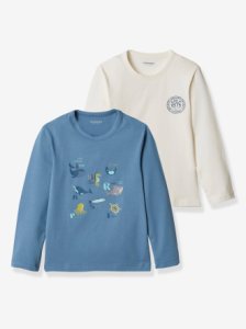 Pack of 2 Long-Sleeved Tops for Boys, Sea animals blue light solid with design