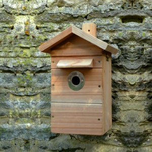 Wildlife Camera System with Nest Box