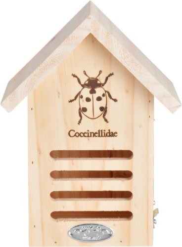 Natural Collection Select - Wooden ladybird house