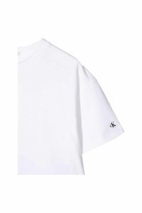 Calvin Klein T-shirt Con Stampa